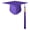 Purple, variant on Farfi Adult Graduation Hat with Tassel Solid Color Non-Fading High School Bachelor Graduation Hat Cosplay Prop (Black)