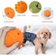 thumbnail image 3 of LaRoo Squeaky Dog Ball Toy, Durable Natural Rubber Squeaker Ball Floating Throwing Training, Teeth Cleaning Chew Toy for Pet Small Medium Large Dogs (6.5CM Orange), 3 of 5