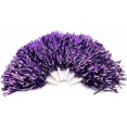 thumbnail image 2 of Cheerleading Poms, Cheer Plastic Pom Cheer Party Costume Sports Dance, 2 of 3