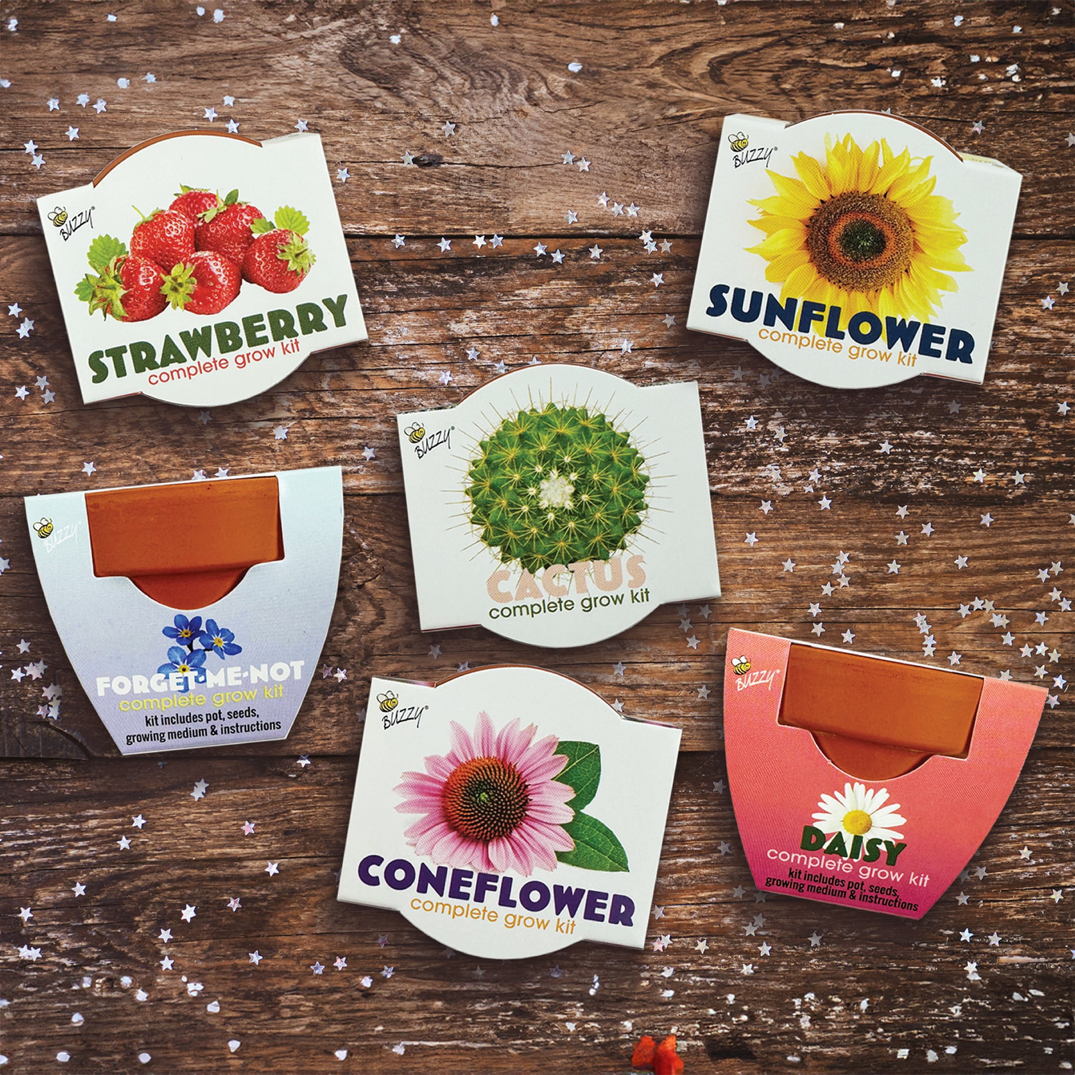 Buzzy Seeds Mini Terracotta DIY Grow Kit 12pk with Flowers, Cactus & Strawberry Seeds