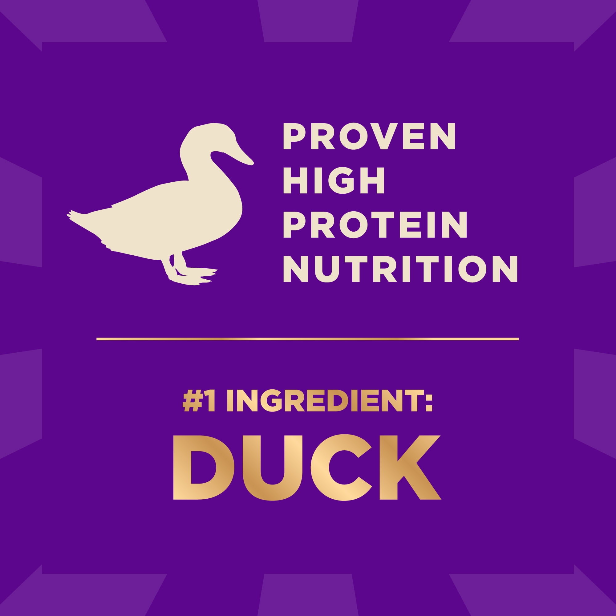 Wellness CORE+ Dry Dog Food with Freeze Dried Pieces, Grain Free, High Protein, Natural, Wild Game Duck, Lamb, Wild Boar, & Rabbit Recipe, (10-Pound Bag)