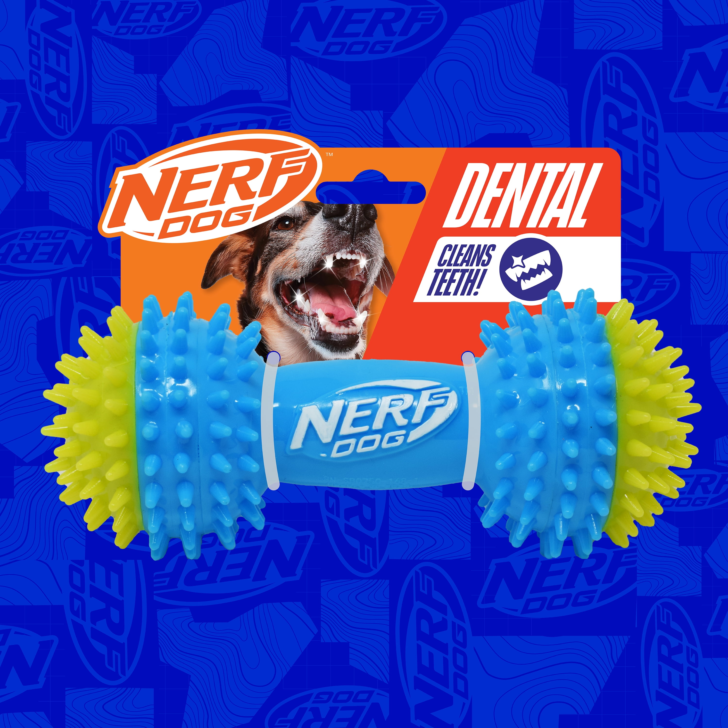Nerf Dog TPR Squeak Spike Barbell Chew Toy for Dogs, Green/Blue, 7 inch