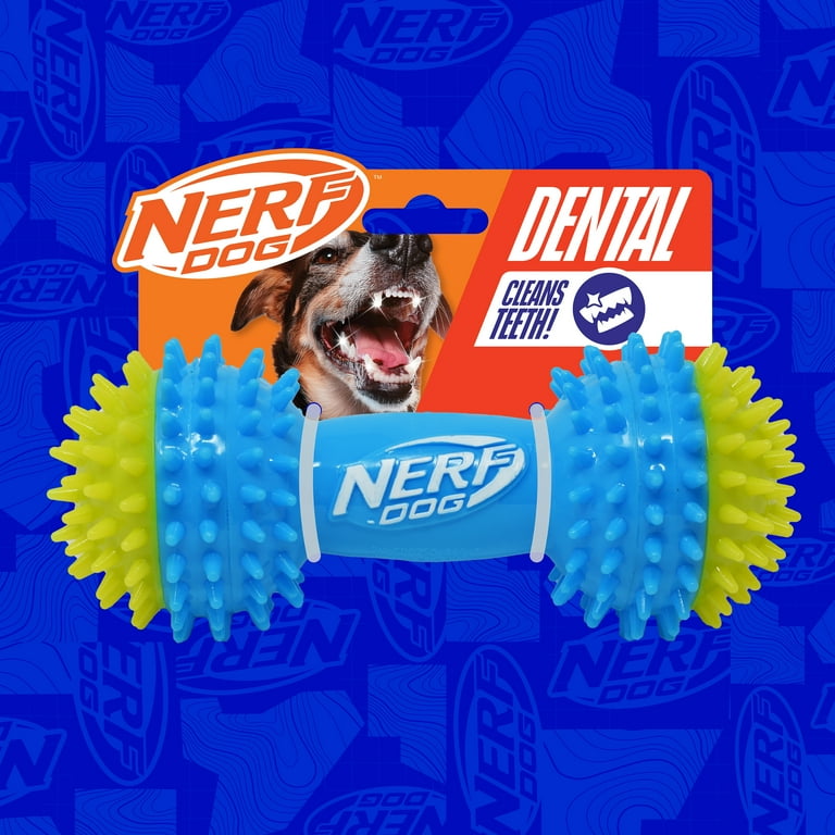 Nerf Dog TPR Squeak Spike Barbell Chew Toy for Dogs, Green/Blue, 7