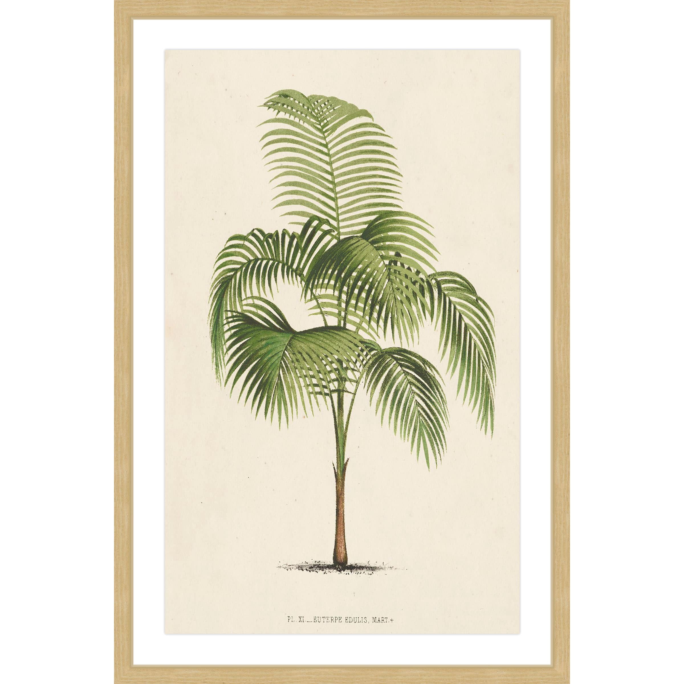 Marmont Hill "Les Palmiers I" Framed Painting Print