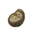 thumbnail image 1 of Hi-Line Gift Ltd Hedgehog Statue sur le Dos, 1 of 5