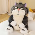 thumbnail image 3 of Juguete de peluche de dibujos animados Kawaii para niños y niñas, muñeco de gato negro suave, almohada de Animal, regalo de cumpleaños y Halloween, 15-60cm, 3 of 5