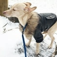 thumbnail image 1 of Hearth & Gear Stylish Winter Dog Coat: Collar Leather Jacket For Warmth And Fashion For Cold Weather Adventures Pet Clothes Rack Small Pet Clothes Rack Pet Clothes Pet Clothes for Medium Dogs Pet, 1 of 6