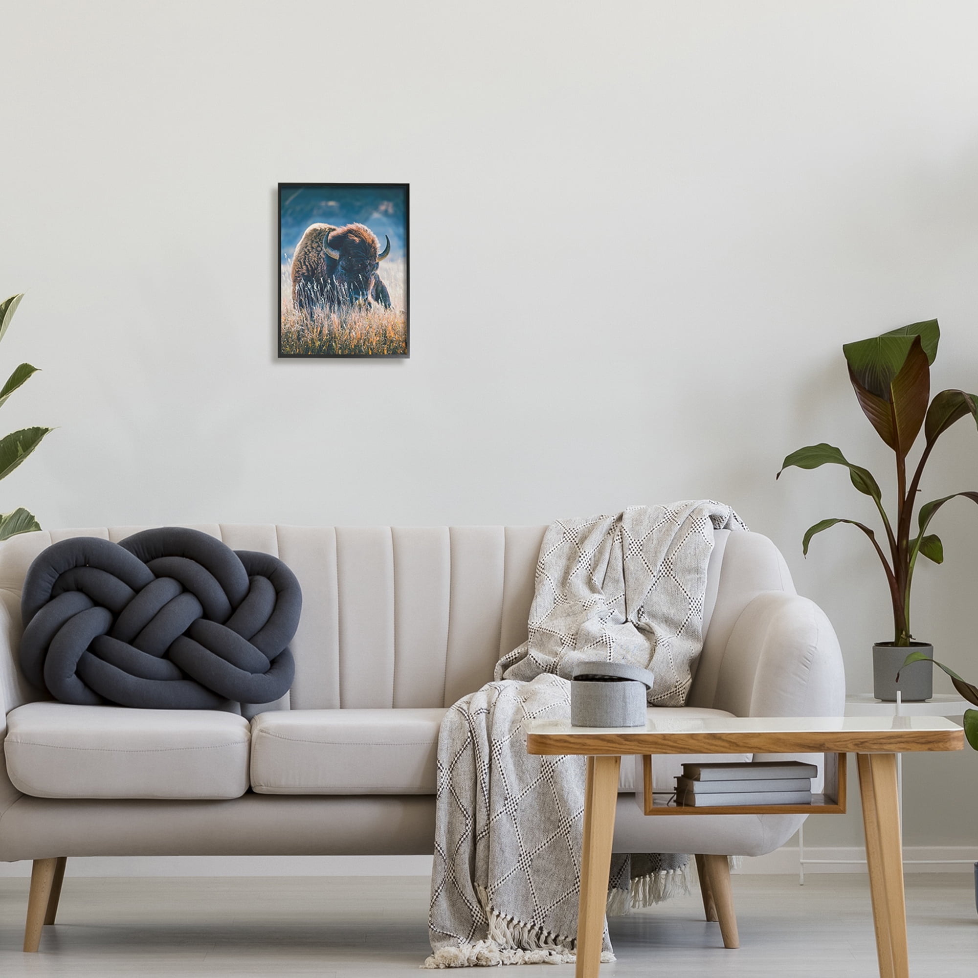 Stupell Industries Bison in Meadow Photography Animals & Insects Photography Black Framed Art Print Wall Art, 11 x 14