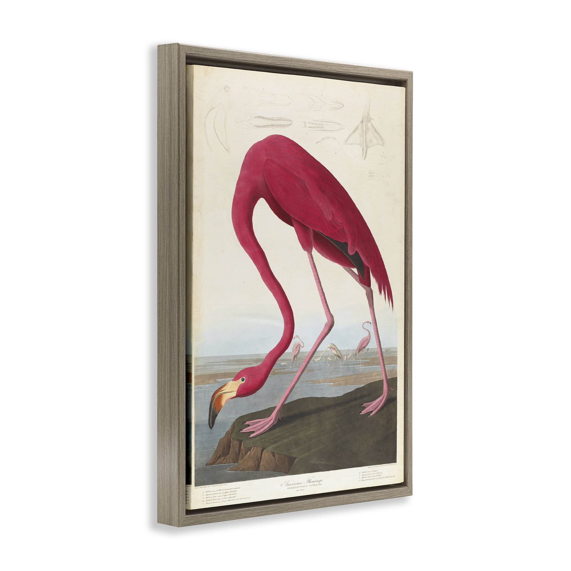 Stupell Industries Classic American Flamingo Animals Painting Brown Floater Framed Canvas Art Print Wall Art, 17 x 25