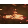 thumbnail image 1 of Ahgly Company Machine Washable Indoor Rectangle Transitional Mahogany Brown Area Rugs, 4' x 6', 1 of 7