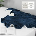 thumbnail image 3 of Great Bay Home Velvet Plush Sherpa Fleece Reversible Blanket, Queen, Navy, 3 of 5