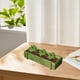 thumbnail image 3 of Caja de maceta de madera verde 1pcs Rectangle Succulent Plant Pot Storage Box Organizer, Plantas suculentas Vintage Floral Plant Container para decoración de ventanas de hogar oficina, 3 of 7