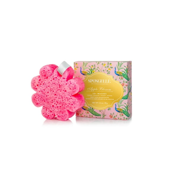 apple-blossom-art-chinois