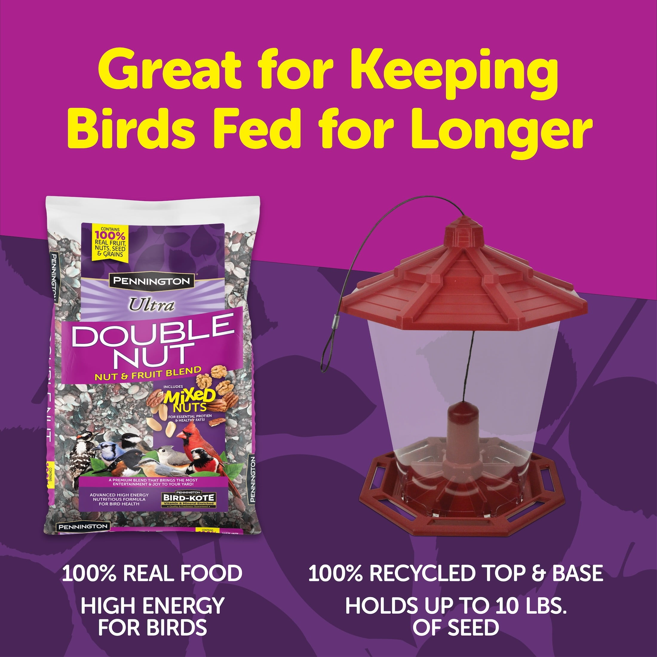Pennington Earth Smart Grand Ecozebo 10lb Capacity Wild Bird Feeder and Feed Starter Kit 1 Each