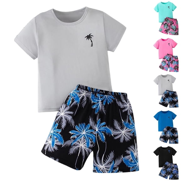 SGFCWSX Boys 2 Piece Outfits Kids Summer Beach Casual Soft Short Sleeve T Shirt Graphic Print Elastic Waist Shorts Holiday Wear Gray Size 7-8 Years