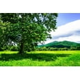 thumbnail image 2 of Hausenflock, Alan 32x23 Gold Ornate Wood Framed with Double Matting Museum Art Print Titled - Rappahannock County II, 2 of 4