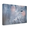 thumbnail image 3 of Canvas Wall Art - Fabien BRAVIN 'Patroller' Wall Art for Living Room, Bedroom, or Office Décor by Trademark Fine Art - 19 x 12 Inches, 3 of 4