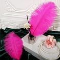 thumbnail image 4 of NOGIS Rose Red Ostrich Feathers 8-10inch(20-25cm) 20pcs Natural Feathers for Wedding Party Centerpieces Home Decorations Dream Catchers DIY Feathers, 4 of 7