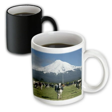 3dRose Dairy Cows, Farm animals, Taranaki, New Zealand-AU02 DWA4997 - David Wall - Magic Transforming Mug,