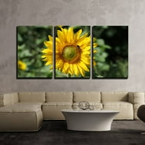 wall26 - 3 Piece Canvas Wall Art - Closeup of The Sunflower with a Bee - Modern Home Art Stretched and Framed Ready to Hang - 16"x24"x3 Panels