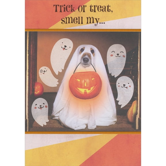 Designer Greetings Dog in Ghost Costume Holding Candy Bucket: Smell My... Funny Halloween Card from Dog