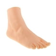 thumbnail image 3 of TISHITA Foot Model Fake Foot Tool Foot Sock Display for Painting Props Nail Art Home Female Right, 3 of 8