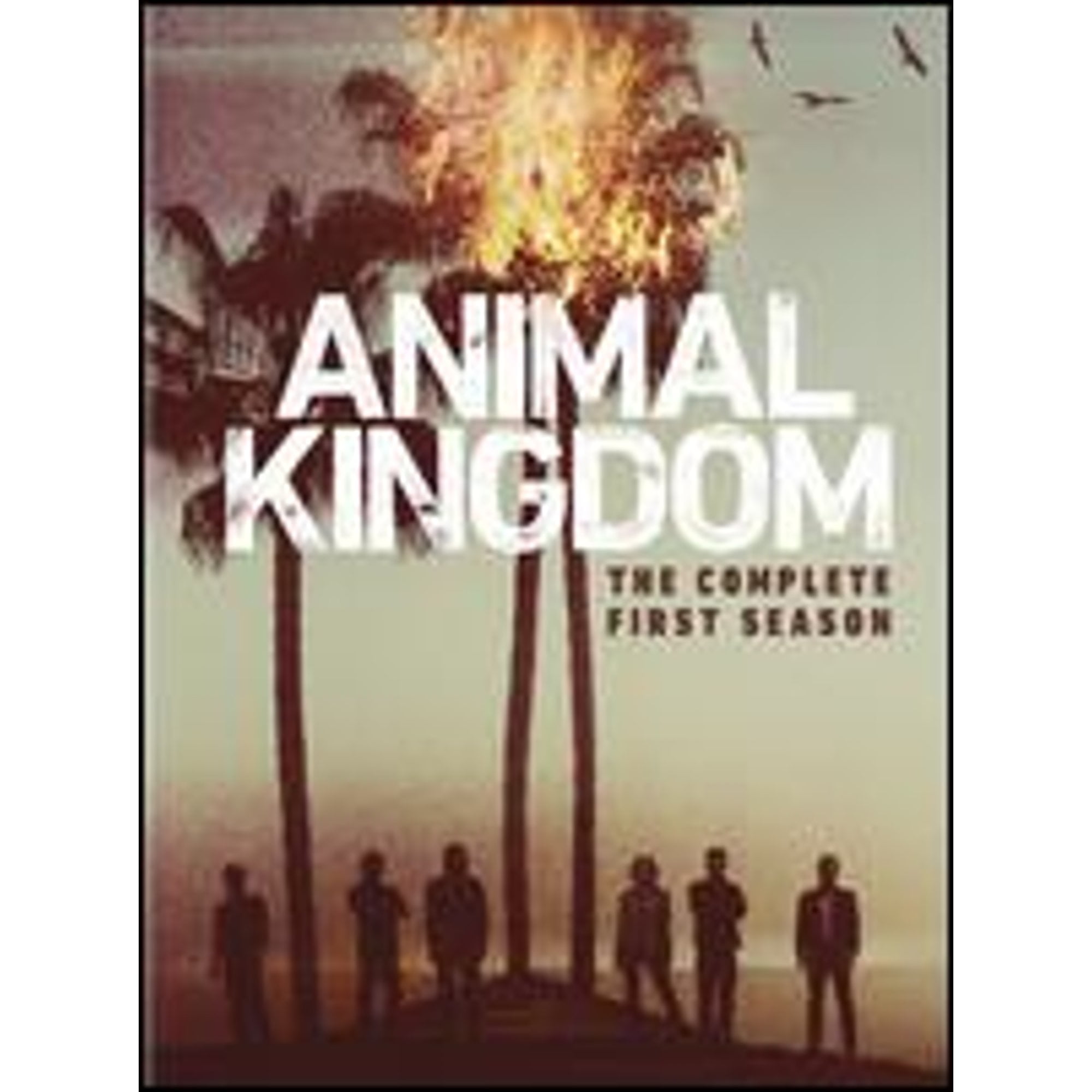 【中古】Kingdom: the Complete First Season/ [DVD] [Import] Animal Kingdom: Complete First Season S1 (DVD) [DVD] - Walmart.com