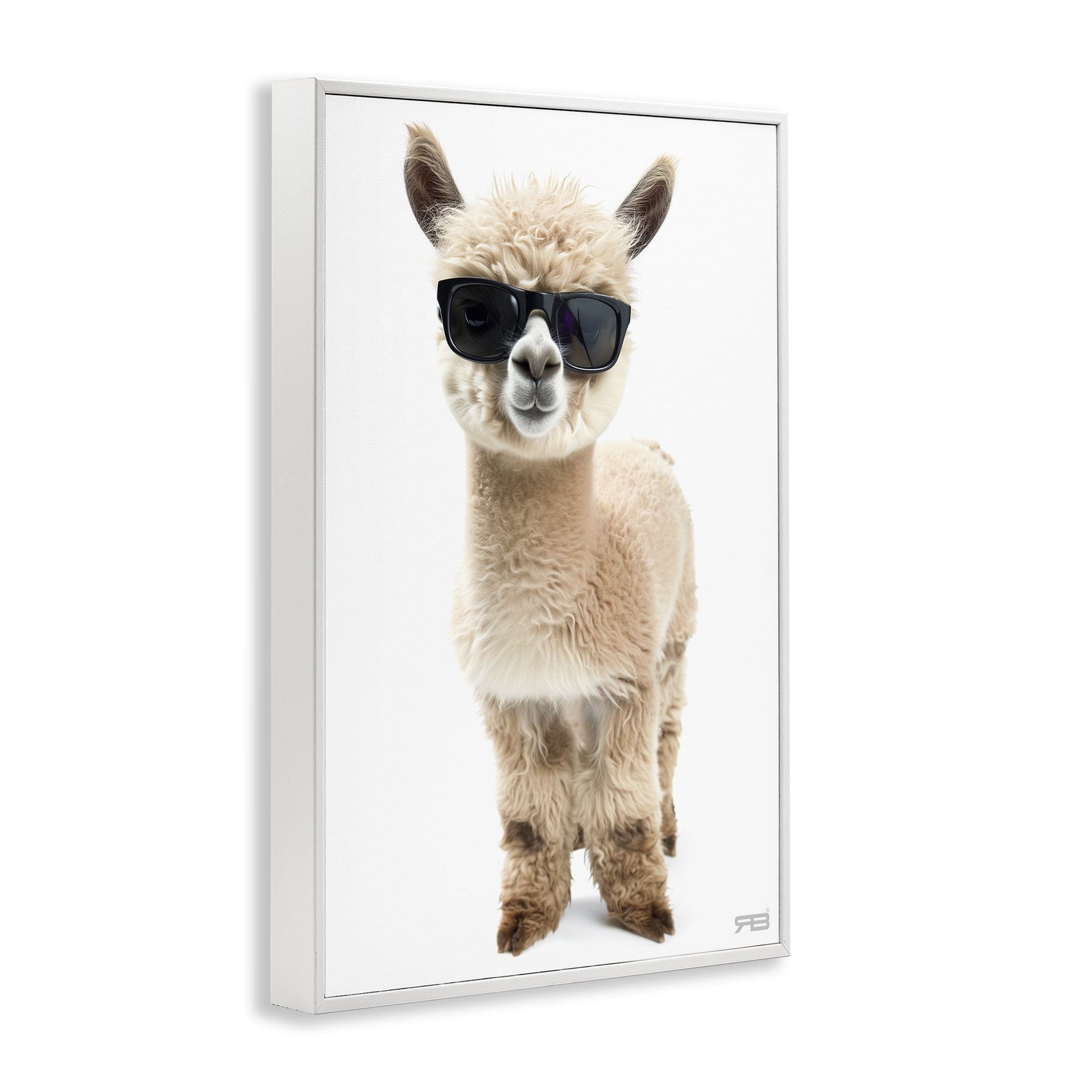 Stupell Industries Cool Alpaca & Glasses Animals & Insects Painting White Framed Art Print Wall Art, 12 x 18