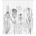 thumbnail image 3 of Ambesonne Thistle Shower Curtain, Meadow Blooms Wildflowers, 69"Wx70"L, Pale Grey and White, 3 of 3