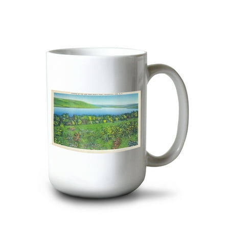 

15 fl oz Ceramic Mug Canandaigua New York Seneca Point View of the Lake Dishwasher & Microwave Safe