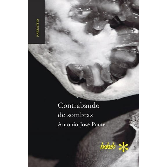 Contrabando de sombras (Paperback)