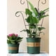 thumbnail image 1 of Enrejado de jardín BuyWeek Acero inoxidable para plantas trepadoras Negro 40 × 30 cm, 1 of 9