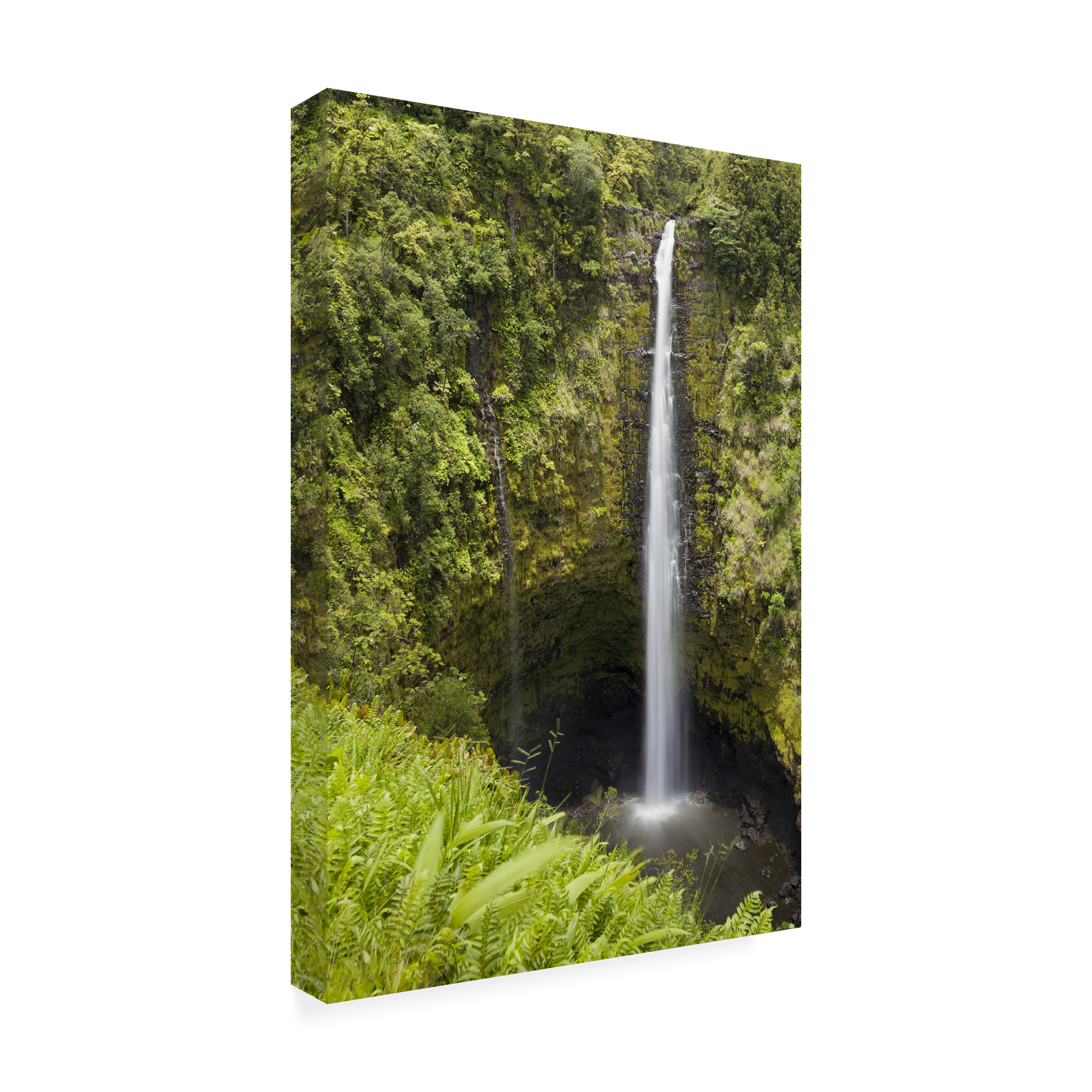 Trademark Fine Art Chris Moyer 'Akaka Falls' 16 x 24 (ALI0769-C1624GG)