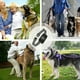 thumbnail image 3 of Tapón De Ladridos Táctil Impermeable Ajustable Usb Recargable Dispositivo De Entrenamiento Para Perros Portátil Antiladridos Suministros Para Mascotas Collar De Control De Ladridos Methold PT001640-01, 3 of 5