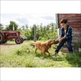 thumbnail image 3 of Dog's Purpose DVD, 3 of 9