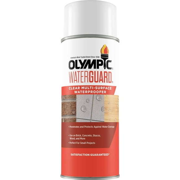 Olympic WaterGuard 11 oz. Clear Multisurface Exterior Waterproofing Sealer Spray