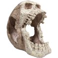thumbnail image 4 of Penn Plax Skull Hide-Away Reptile Decor, 4 of 7