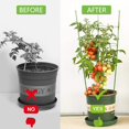 thumbnail image 2 of Yeater Anneau de Support pour Plante Réglable de 18 Po (Lot de 2), 2 of 7