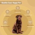 thumbnail image 2 of Pet Nutrition Life Line Organic Ocean Kelp, 2,27 kg, 2 of 3