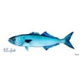 thumbnail image 2 of Bannarot 18x10 White Modern Wood Framed Museum Art Print Titled - Life of the Big Blue III, 2 of 4