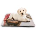 thumbnail image 3 of Peep Lil Pet Mat - Mat for Dogs & Cats, Portable & Washable Pet Blanket Small Pet Pad, 3 of 6