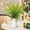 E, variant on Dvkptbk Pine Needle Green Plants Christmas Branches Leaves Stems Artificial Christmas Branches for Diy Garland Wreath and Home Garden Decoration Home Decor