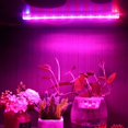 thumbnail image 2 of 1 unidad de lámpara LED USB para plantas, lámpara de crecimiento de espectro completo, luz para plantas de interior, verduras, flores, 2 of 6