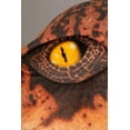thumbnail image 3 of Kid's Velociraptor Costume, 3 of 8