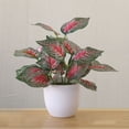 thumbnail image 5 of Bobasndm Artificial Potted Plants, Artificial Green Leaves with Natural Stone and Cement Pot, Fake Plants for Indoor and Room Decoration, 5 of 9
