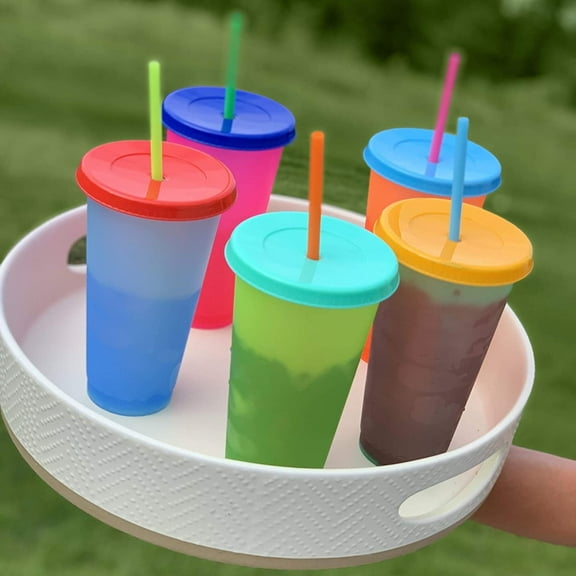 Color Changing Plastic Tumblers- with Lids and Straws- 5 PCS Reusable Color Changing Cold Drink Cups- 24 Oz