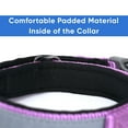 thumbnail image 6 of Pawtitas Martingale Padded Reflective Dog Collar Lumberjack Dog Collar Extra Small Orchid, 6 of 10