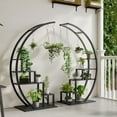 thumbnail image 2 of Black Plant Shelf, 5 tiers Metal Plant Stand with Hanger , Half Moon Shaped Creative Plant Shelf Holder for Home Patio, 2 of 6