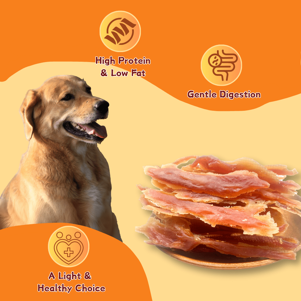 Tender Touch Grain-Free Duck Jerky, Novel Natural High-Protein Dog Treats, 1.76 Pound