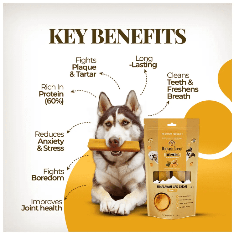 Dogsee Himalayan Yak Cheese Dog Chews with Turmeric/Curcumin (Medium - 6Chew) | Long Lasting | Anti-inflammatory | Fights Plaque and Tartar | Odorless Dog Treats